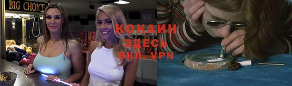 стафф Бронницы