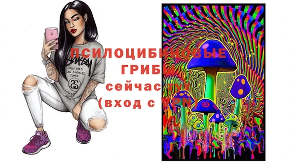 ALPHA-PVP Мегион